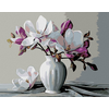 Zuty Magnolije