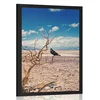 Plakat vrana v sušni pokrajini - 20x30 silver