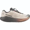 Salomon AERO BLAZE 4 GRVL GTX, muške patike za trčanje, bež L45403200