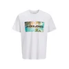JACK & JONES Majica JJINDIANA turkizna/oliva/črna/bela