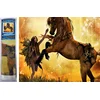 Norimpex - Puzzle Diamantna slika: Krotenje konja 30x40cm - 1 - 39 kosov