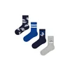 Penti Nogavice PENTI Mellow Rex Dinosaurier-Socken, 4er-Pack mešane barve