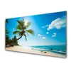 tulup.si Slika na steklu Palm tree beach landscape 140x70 cm 4 obešalnika