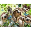Ravensburger - Puzzle Sloth Selfie - 500 kosov
