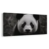 Slika črno-bela panda z nasmehom - 100x50