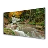 tulup.si Slika na steklu Forest slap narava 120x60 cm 4 obešalnika