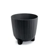 Prosperplast Saksija Ryfo N F170N, Antracit