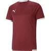 Puma Dres teamLIGA Jersey