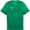 Dres Puma teamCUP Training Jersey