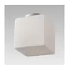 LUXERA 68022 - Stropna svetiljka CUBIX NET 1xE27/60W