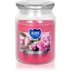BISPOL Premium Line Rose dišeča sveča 500 g