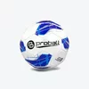 PROBALL Lopta championship 5