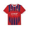 Mens Puma FC Heidenheim 24/25 Home Jersey, Red, Size M, Sport