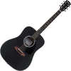 Pasadena PD-100 Black Akustična kitara