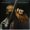 Avishai Cohen From Darkness