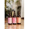 Livet Set Kombucha mix 12 x 0.33 ml, 12 komada