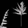 eoshop Bracken, Bela barva z bleščicami. SG6127 WH-GLIT