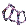 Oprsnica za pse Geo modra 65-100cm/25mm Flamingo - Pasje oprsnice