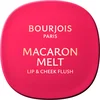 Bourjois Rumenilo Macaron Melt, 04 Pink Guava