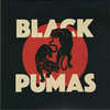 BLACK PUMAS - Black pumas