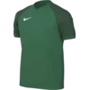 Nike Dres Dri-FIT Trophy VI Kids