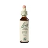Bach Beech, kapljice št. 3 - bukev, 20 ml