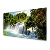 tulup.si Slika na steklu Forest slap narava 100x50 cm 2 obešalnika