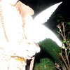 Elisabeth Klinck - Chronotopia (Limited Edition) (White Coloured) (LP)