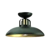 Brilagi - LED Plafonski luster FLAMENGO 1xE27/60W/230V, zelene boje