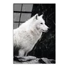 Wallity Slika UV-161, 70 x 100 cm