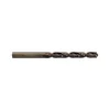 WOLFCRAFT Spiralna burgija HSS 7443010