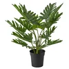 FEJKA Veštačka biljka u saksiji, unutra/spolja filodendron, 19 cm