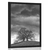 Plakat črnobela samotna drevesa - 30x45 silver