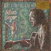 Buddy Guy - Blues Singer (Reissue) (180 g) (2 LP)
