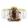 shumee 5x Posoda JAR 8l plastika VEČNAMENSKI plastični kozarec za hrano