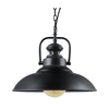 Luster na lancu ICELAND 1xE27/20W/230V