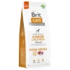 Brit Care Dog Hypoallergenic Junior Large Breed jagnjetina & riž - Varčno pakiranje: 2 x 12 kg