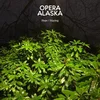 Opera Alaska - Hope/Staying (Numbered) (Yellow Coloured) (7)