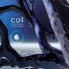 Coil - Musick To Play In The Dark2 (2 LP)