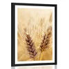 Plakat s paspartujem pšenično polje - 40x60 black