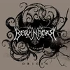 Borknagar - Origin (Limited Edition) (Red Coloured) (LP)