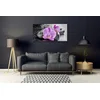 tulup.si Slika na steklu Orchid cvetje orchid spa 100x50 cm 2 obešalnika