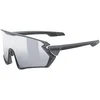 uvex sportstyle 231 Grey/Black Mat S2 ONE SIZE (99) Črna/Srebrna