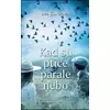 Kad su ptice parale nebo