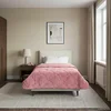 vidaXL vidaXL Poletna odeja Roza 140 x 220 cm Mikrofibra in Teddy flis, (5000284660)