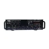 ATC audio pojačalo 2x25W ( ATC-AMP301 )