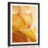 Plakat s paspartujem regratova lučka v čudovitem dizajnu - 30x45 silver