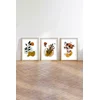 Wallity Uramljena slika Huhu185, 50x70 cm , 3 dijela