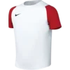 Nike Dres Dri-FIT Academy II Kids