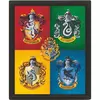 Harry Potter 3D slika - barvna
